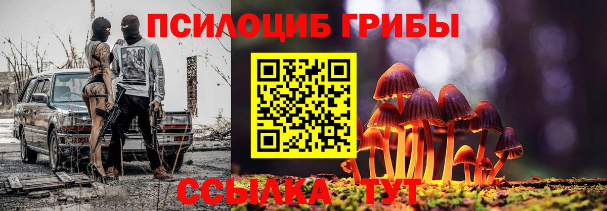 Галлюциногенные грибы GOLDEN TEACHER  Вход с VPN  Верхняя Пышма  Псилоцибиновые грибы Psilocybine cubensis 